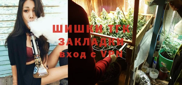 spice Верея