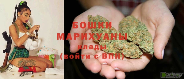 spice Верея